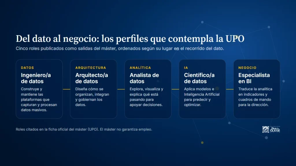 Infografía del recorrido del dato al negocio con los cinco perfiles que contempla la UPO: ingeniero de datos, arquitecto de datos, analista de datos, científico de datos y especialista en Business Intelligence.